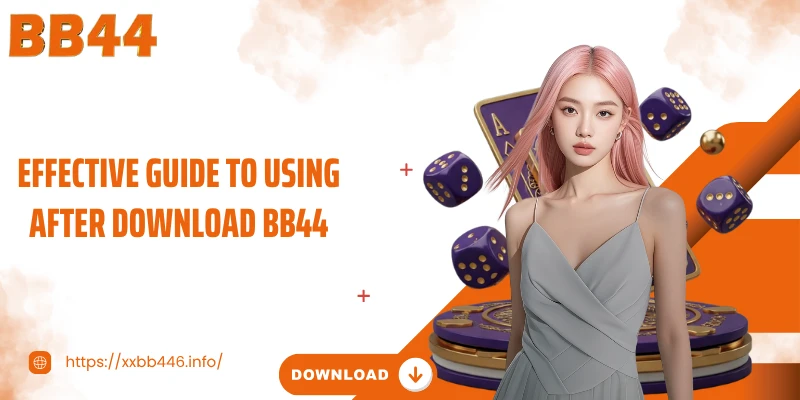 Effective guide to using after download BB44